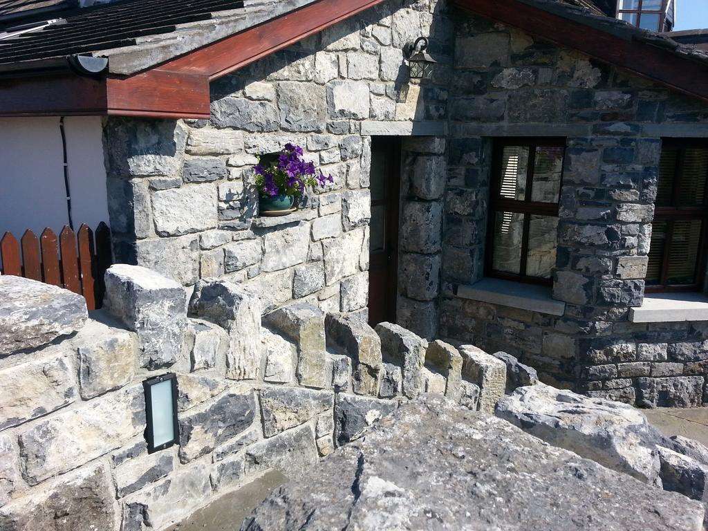 Aille River Tourist Hostel And Camping 杜林 外观 照片