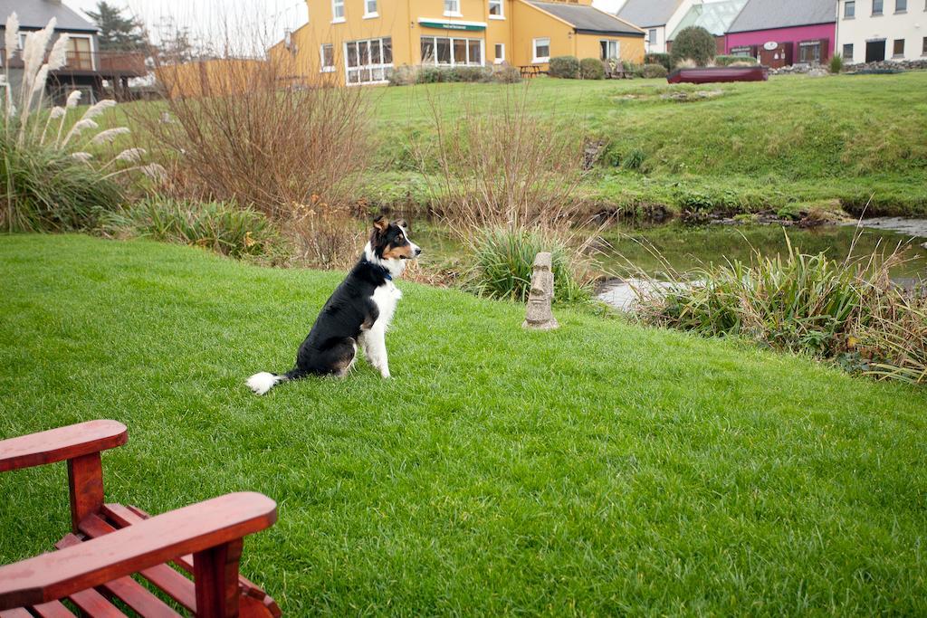 Aille River Tourist Hostel And Camping 杜林 外观 照片